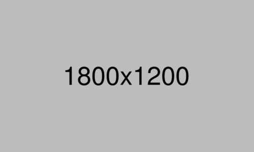 A gray background with the text "1800x1200" centered in black, indicating the image's dimensions in pixels—ideal for promoting networking events or women's events.