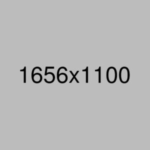 A gray rectangle with the dimensions "1656x1100" displayed in black text at the center, reminiscent of signage for a women's events or friendship class in Seattle.