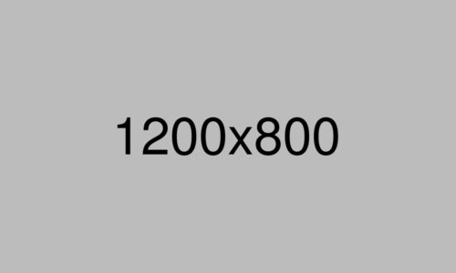 A gray background with the text "1200x800" in black centered on the image, indicating placeholder dimensions—perfect for a Bellevue, Seattle project or a Friendship Class event announcement.