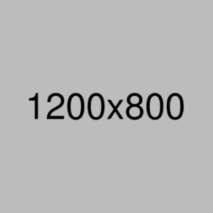 A gray background with the black text “1200x800” displayed at the center, indicating the image’s dimensions in pixels—perfect for use by Bellevue women business owners.